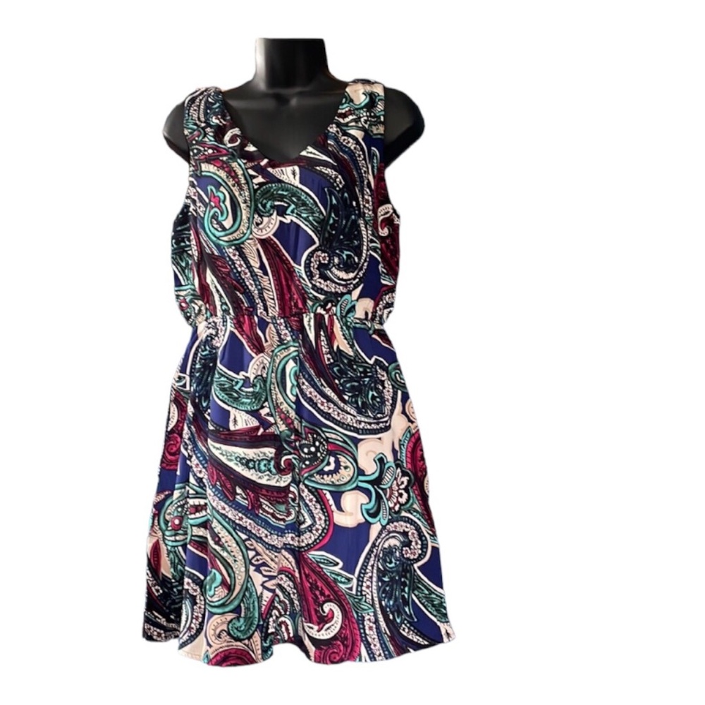 Pink Owl Paisley Print Dress Size Large —#121